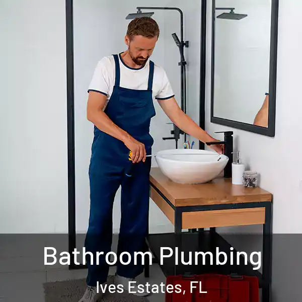  Bathroom Plumbing Ives Estates, FL