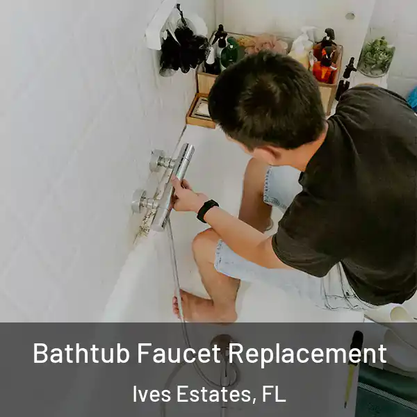  Bathtub Faucet Replacement Ives Estates, FL