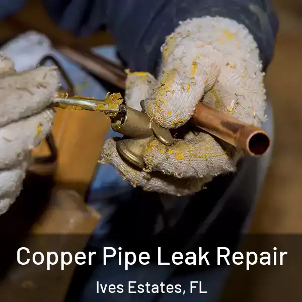 Copper Pipe Leak Repair Ives Estates, FL