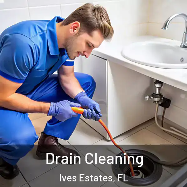  Drain Cleaning Ives Estates, FL