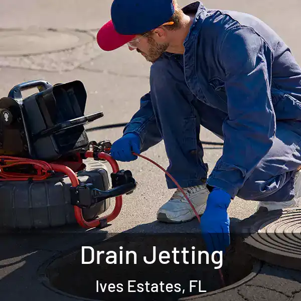  Drain Jetting Ives Estates, FL
