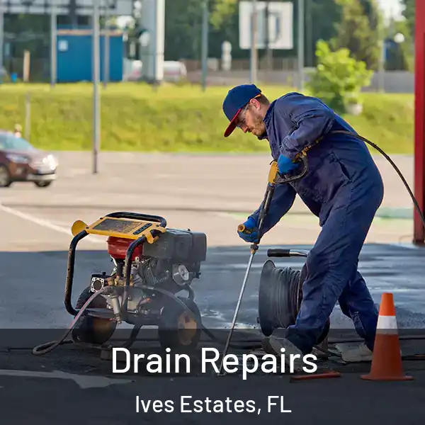  Drain Repairs Ives Estates, FL