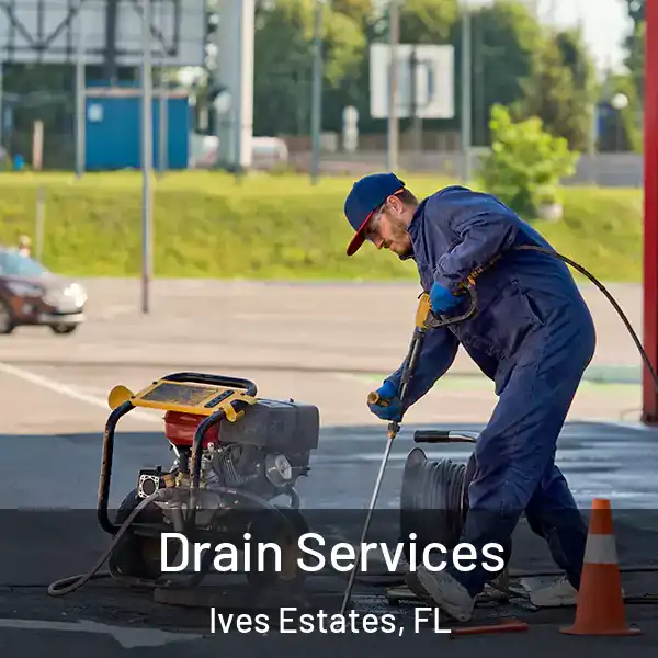  Drain Services Ives Estates, FL