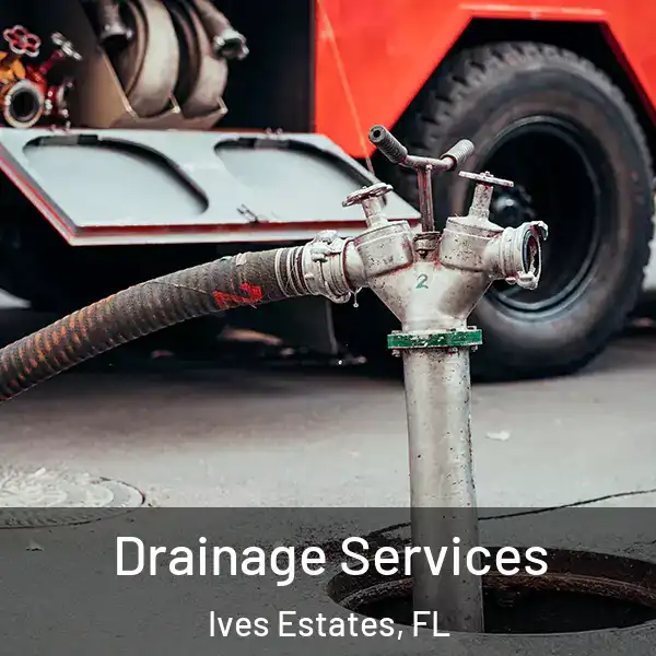  Drainage Services Ives Estates, FL