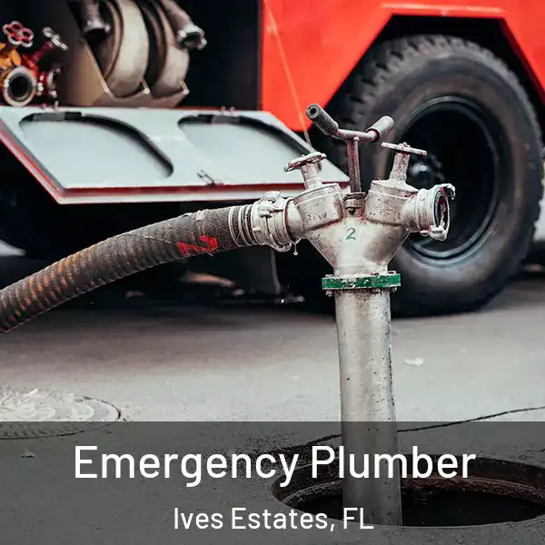  Emergency Plumber Ives Estates, FL