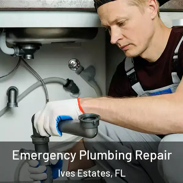  Emergency Plumbing Repair Ives Estates, FL