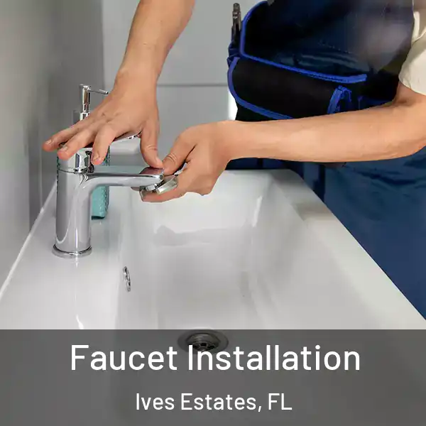  Faucet Installation Ives Estates, FL