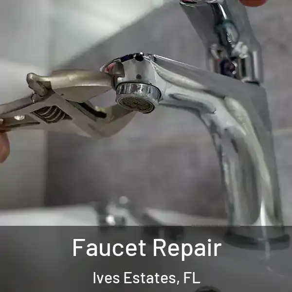 Faucet Repair Ives Estates, FL