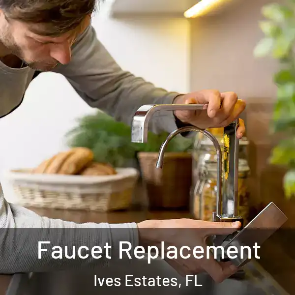  Faucet Replacement Ives Estates, FL