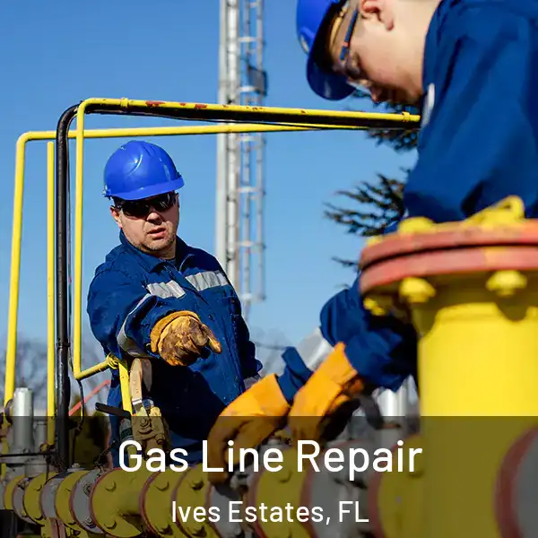  Gas Line Repair Ives Estates, FL