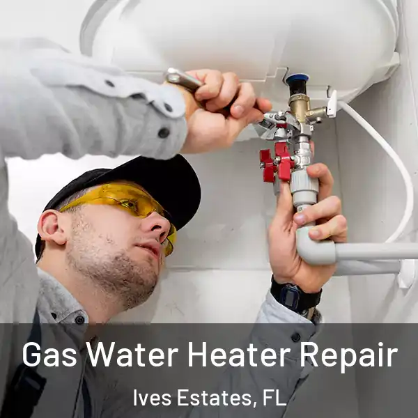  Gas Water Heater Repair Ives Estates, FL