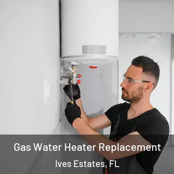  Gas Water Heater Replacement Ives Estates, FL