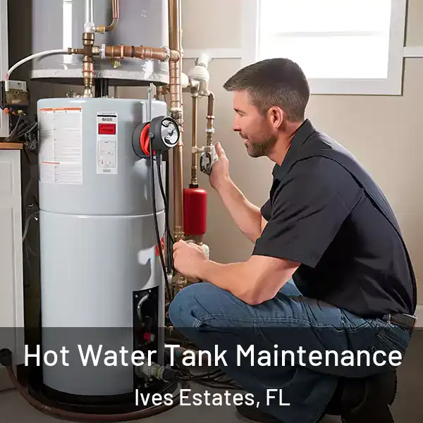  Hot Water Tank Maintenance Ives Estates, FL