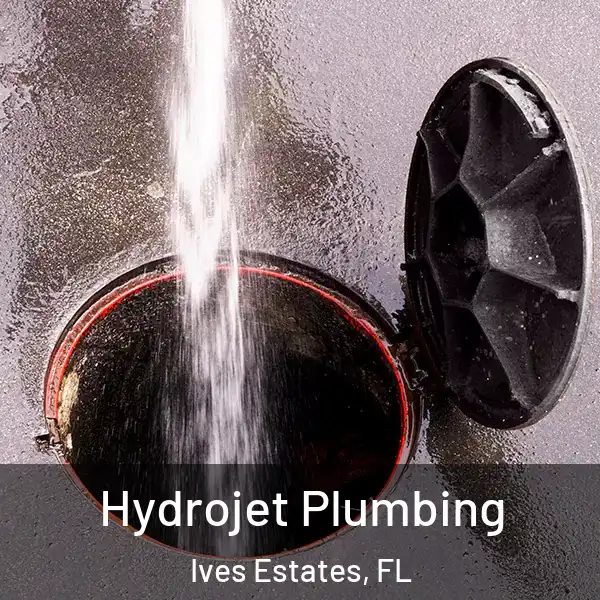  Hydrojet Plumbing Ives Estates, FL