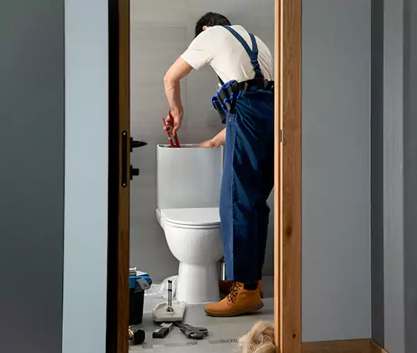 Professional Plumbers for Toilet Bowl Replacement in Ives Estates, FL: Schedule Affordable Toilet Replacement Services With Us