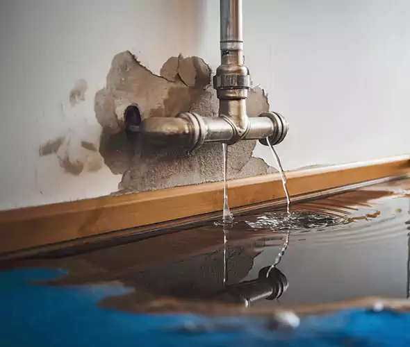Professional Water Damage Restoration Experts in Ives Estates, FL — Fast, Reliable & Certified