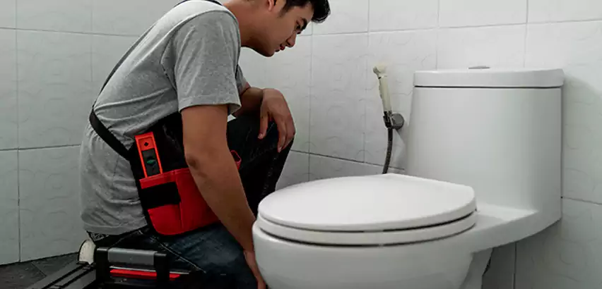 Toilet Repair in Ives Estates