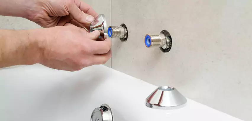 Bathtub Faucet Diverter Replacement in Ives Estates