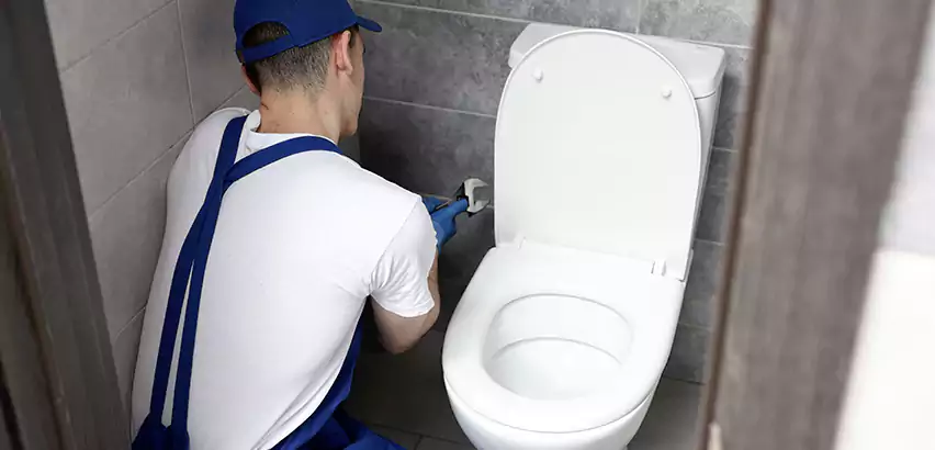 Toilet Lid Replacement in Ives Estates