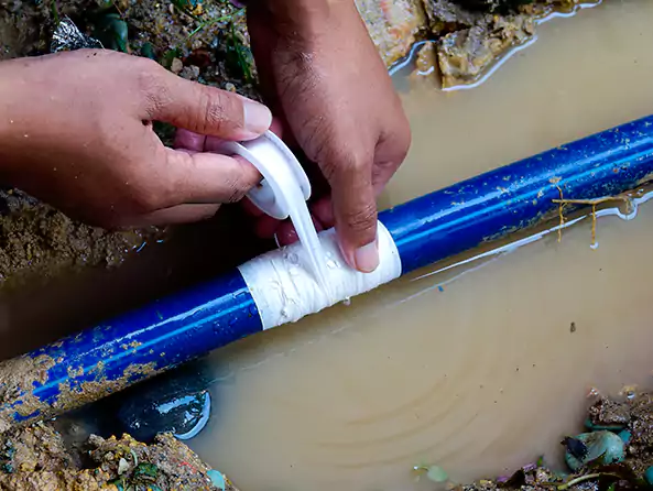 Why Choose Ives Estates Plumbing for Water Line Replacement in Ives Estates, FL?
