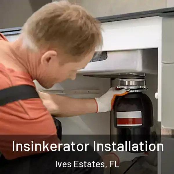  Insinkerator Installation Ives Estates, FL