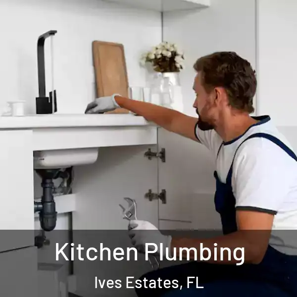  Kitchen Plumbing Ives Estates, FL
