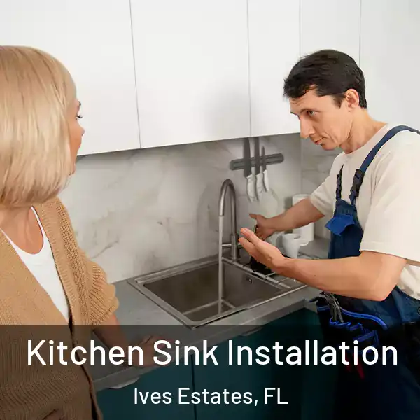  Kitchen Sink Installation Ives Estates, FL