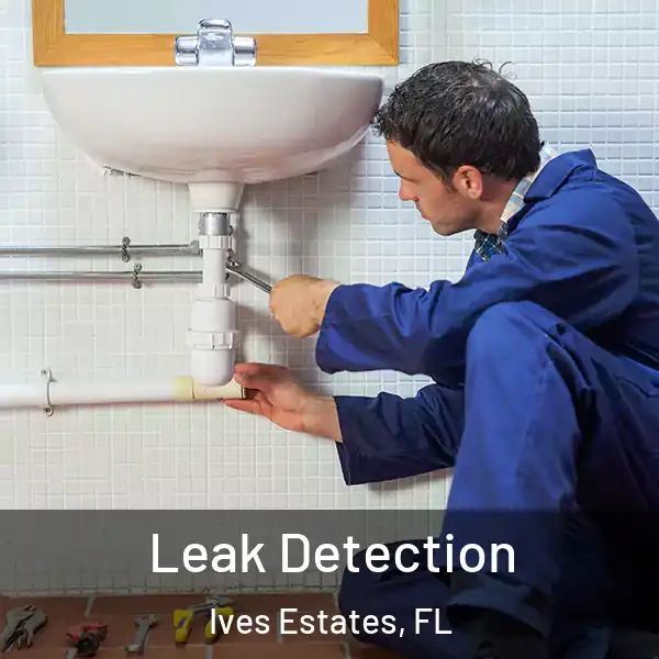  Leak Detection Ives Estates, FL