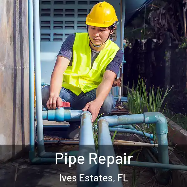  Pipe Repair Ives Estates, FL