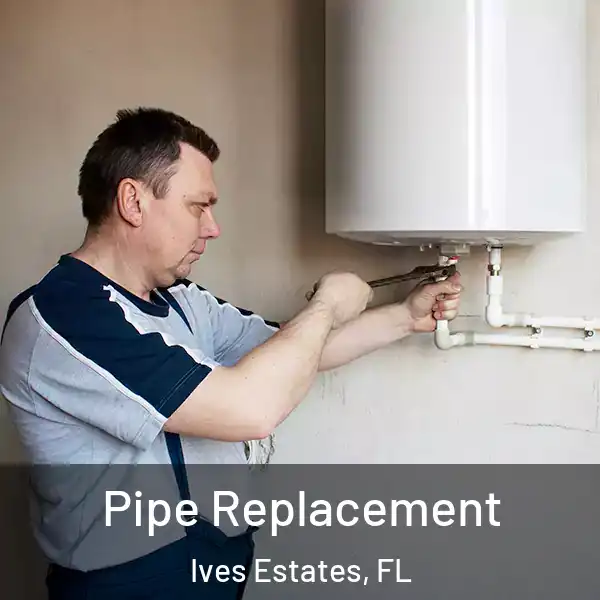  Pipe Replacement Ives Estates, FL