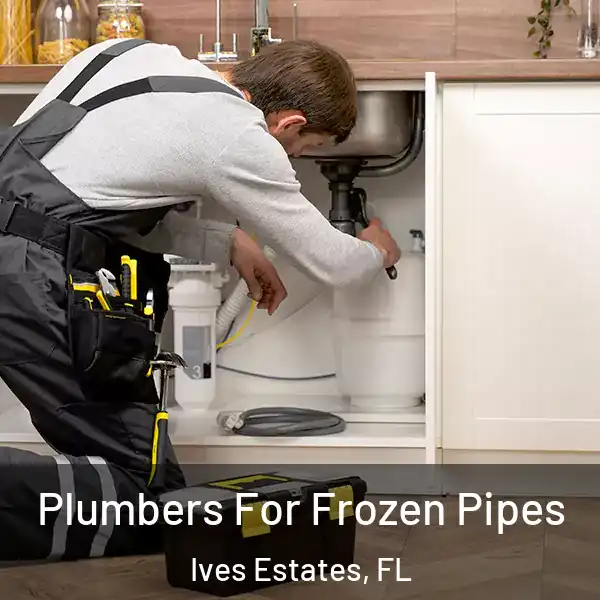  Plumbers For Frozen Pipes Ives Estates, FL