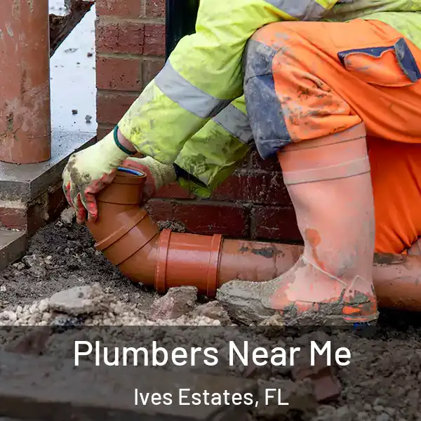  Plumbers Near Me Ives Estates, FL