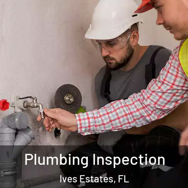  Plumbing Inspection Ives Estates, FL