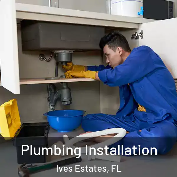  Plumbing Installation Ives Estates, FL