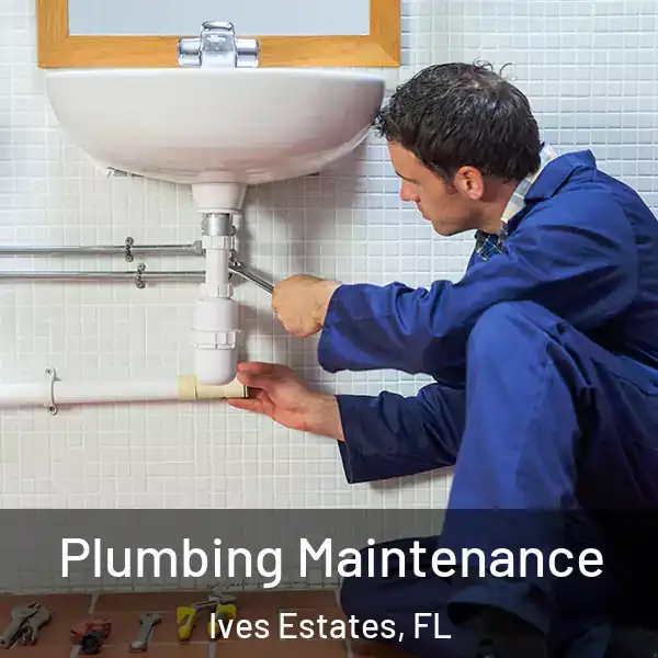  Plumbing Maintenance Ives Estates, FL