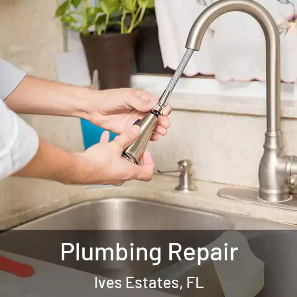  Plumbing Repair Ives Estates, FL
