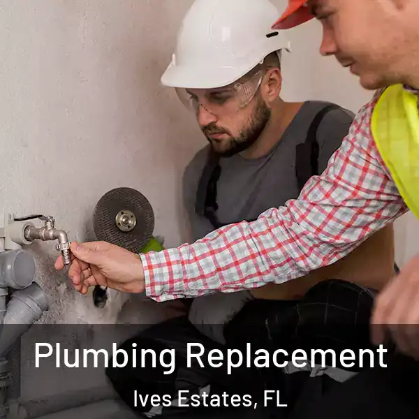  Plumbing Replacement Ives Estates, FL