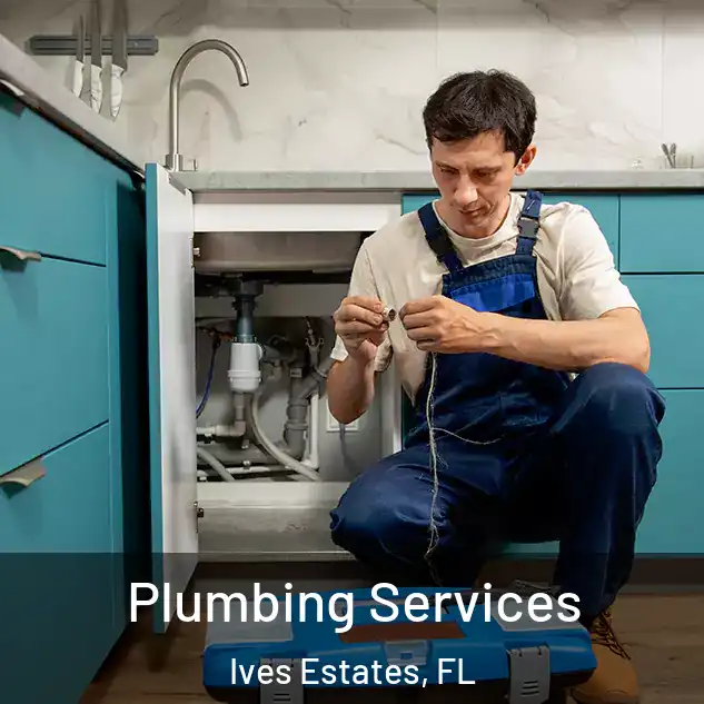  Plumbing Services Ives Estates, FL