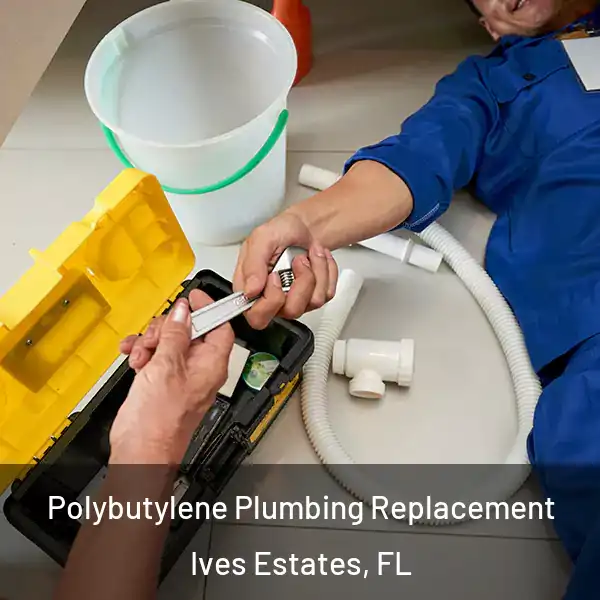  Polybutylene Plumbing Replacement Ives Estates, FL