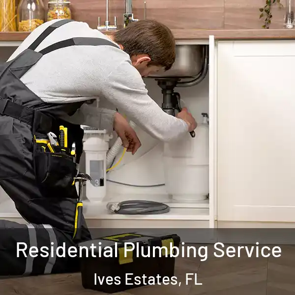  Residential Plumbing Service Ives Estates, FL