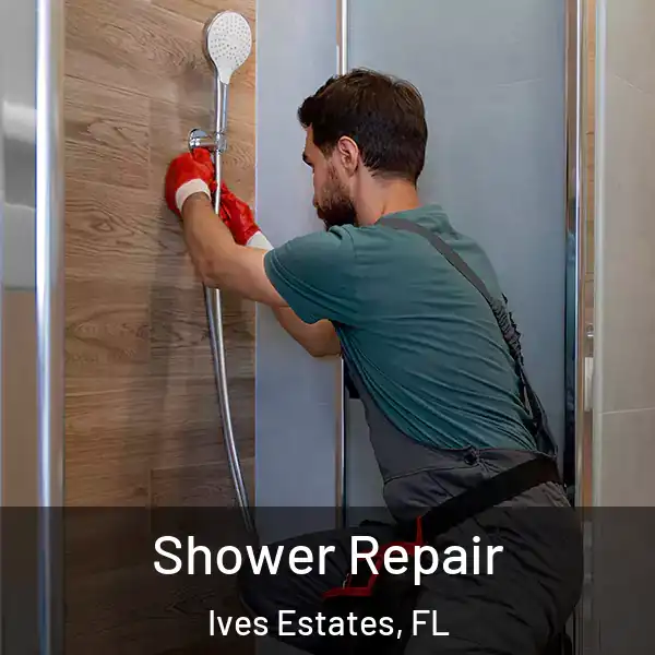  Shower Repair Ives Estates, FL