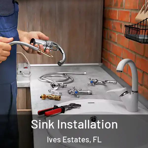  Sink Installation Ives Estates, FL