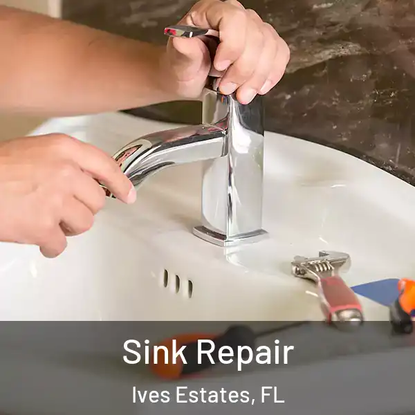  Sink Repair Ives Estates, FL