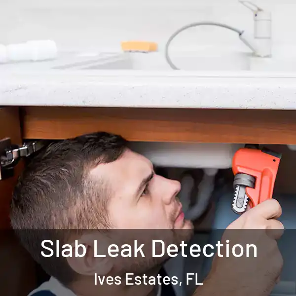  Slab Leak Detection Ives Estates, FL