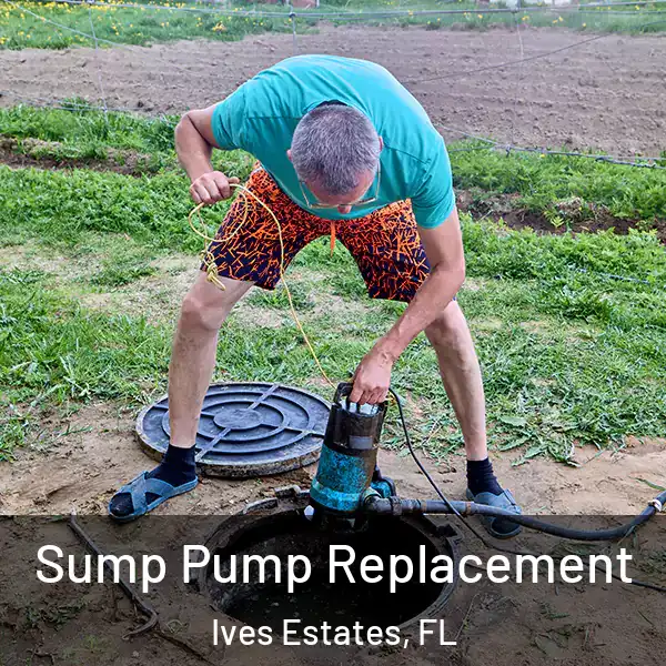  Sump Pump Replacement Ives Estates, FL