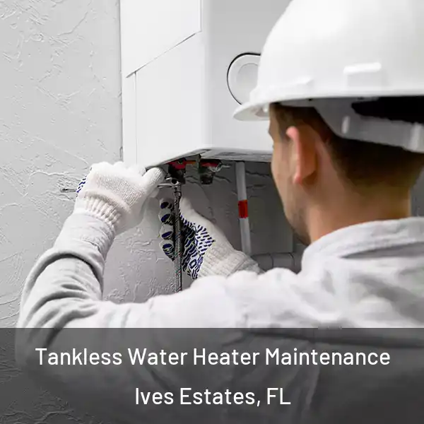  Tankless Water Heater Maintenance Ives Estates, FL
