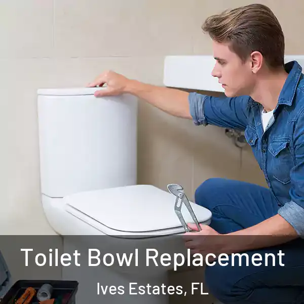  Toilet Bowl Replacement Ives Estates, FL