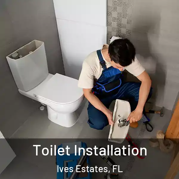  Toilet Installation Ives Estates, FL