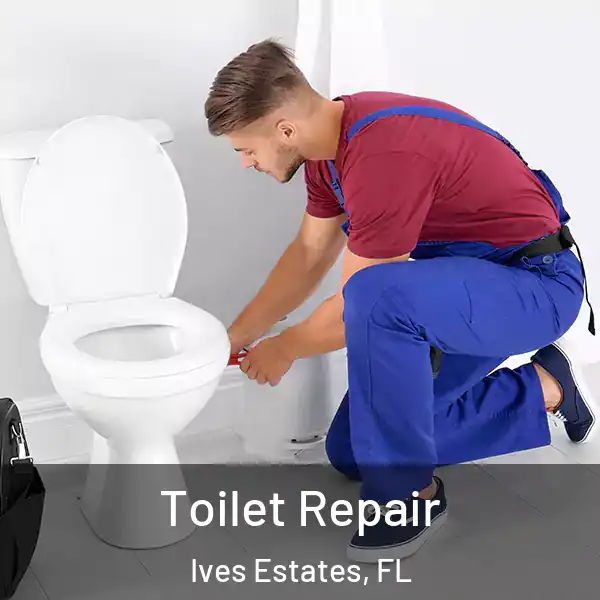  Toilet Repair Ives Estates, FL