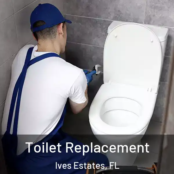  Toilet Replacement Ives Estates, FL